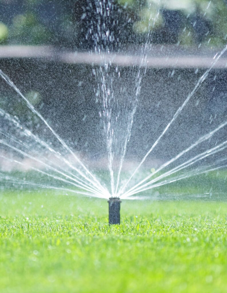 Smart Lawn Care Tips That Work for Real Families - Life is Sweeter By ...