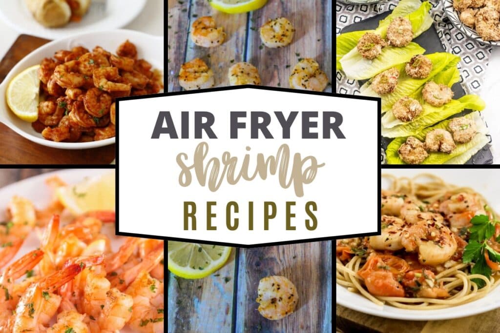 Best Shrimp Recipes cooked in the Air Fryer