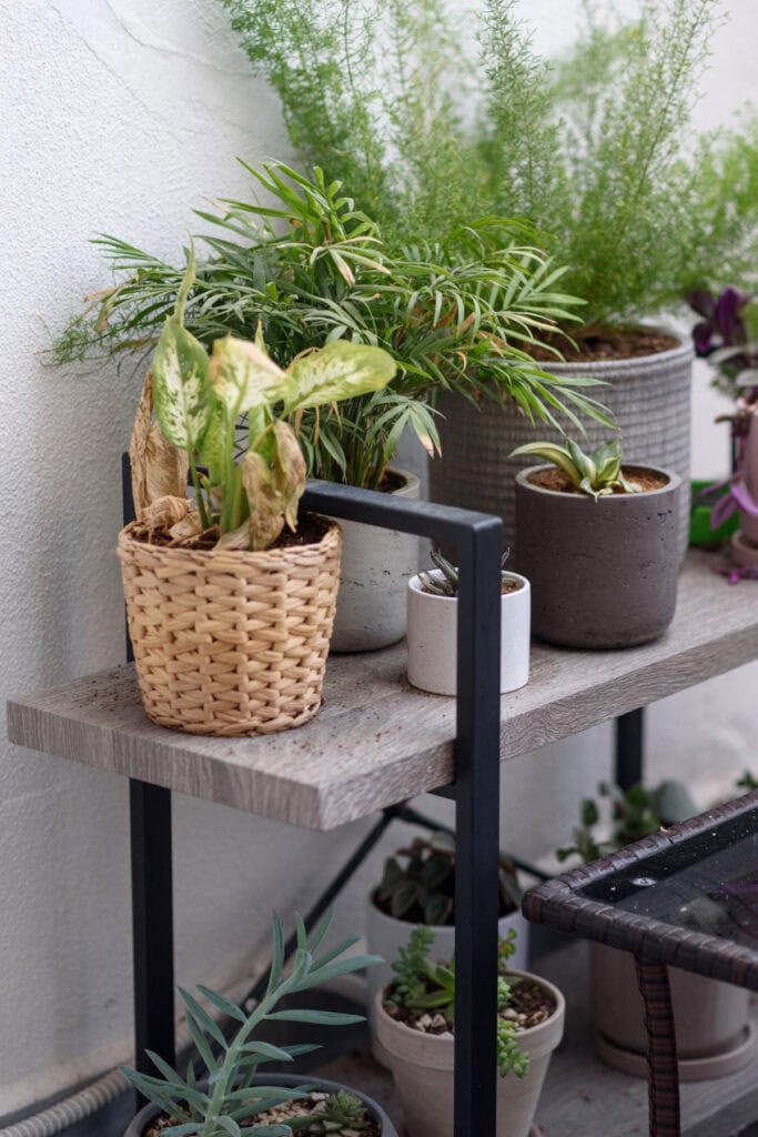 building a garden room