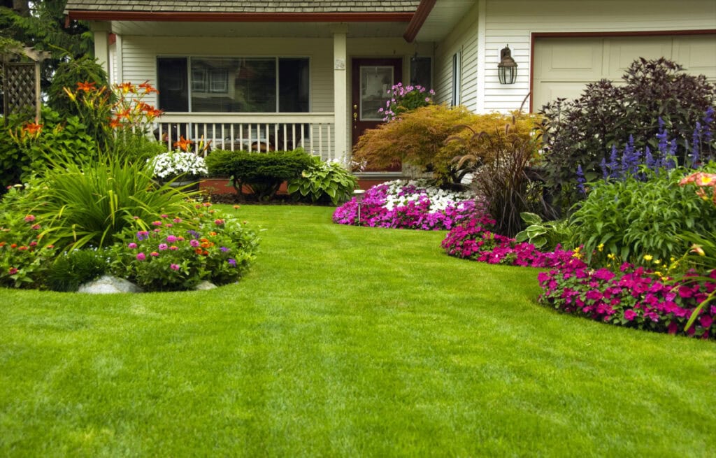 front garden