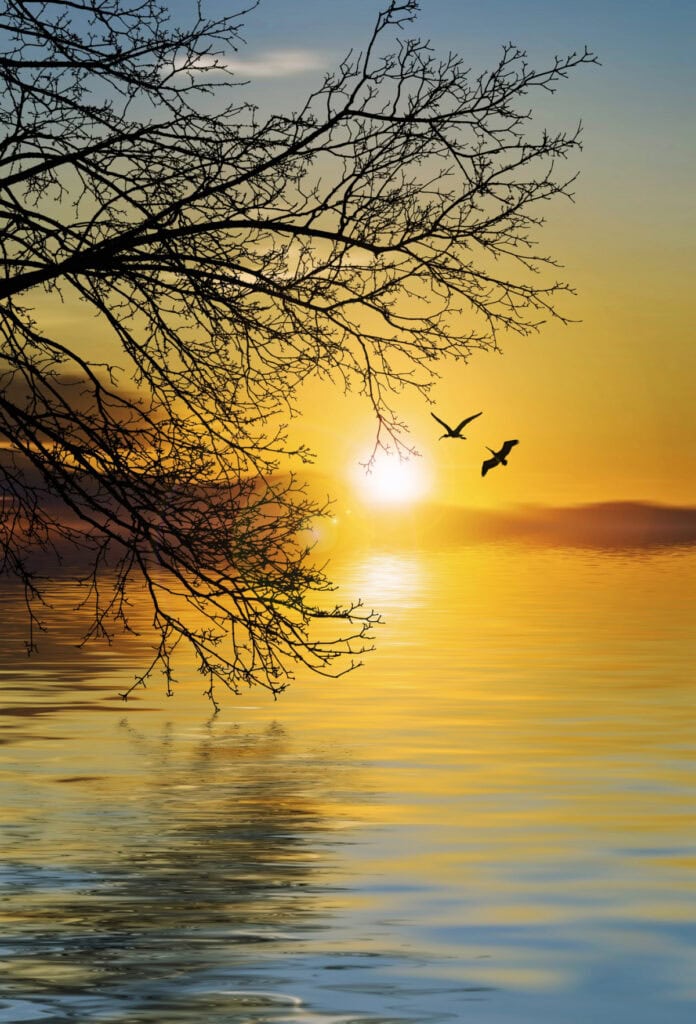 approach to recovery