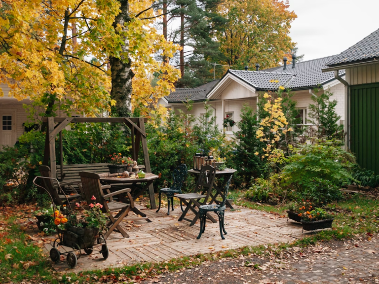 low maintenance garden
