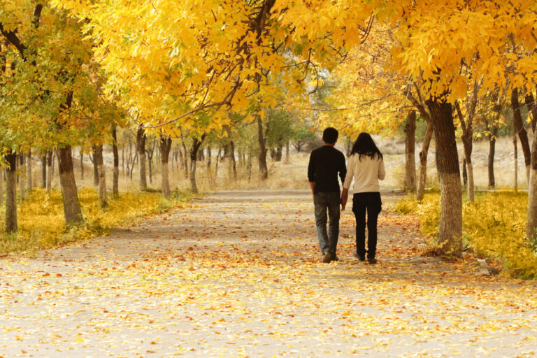5 ways you can spend a weekend