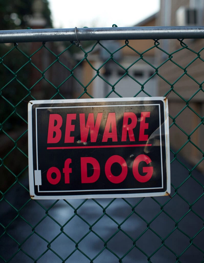 dog bite injury