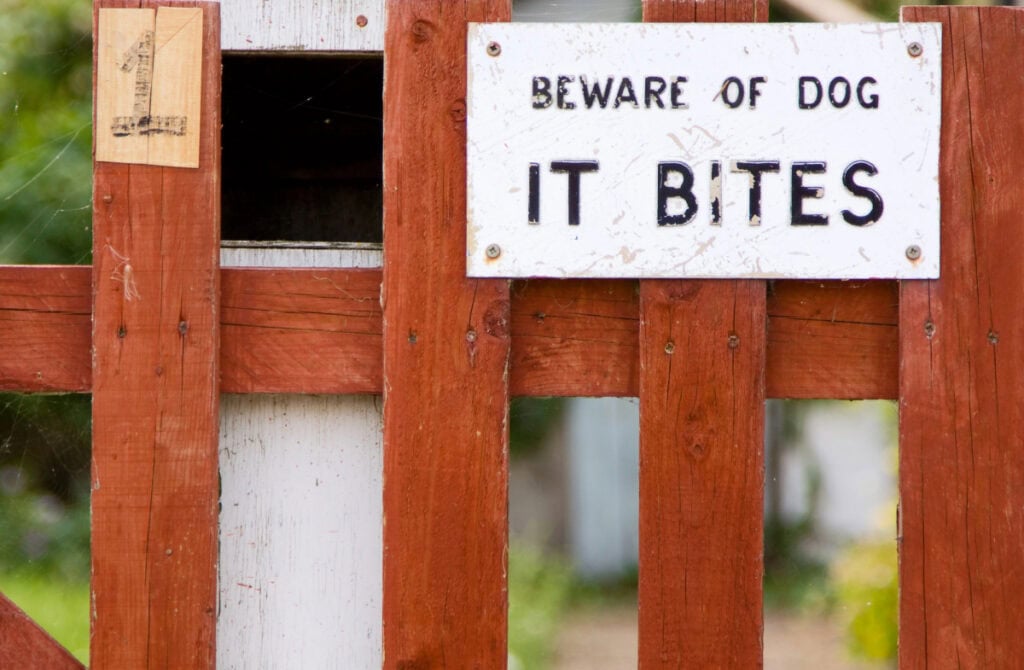 dog bite injury