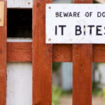 Who Is Liable for a Dog Bite Injury?