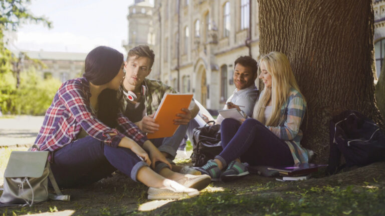 international schools