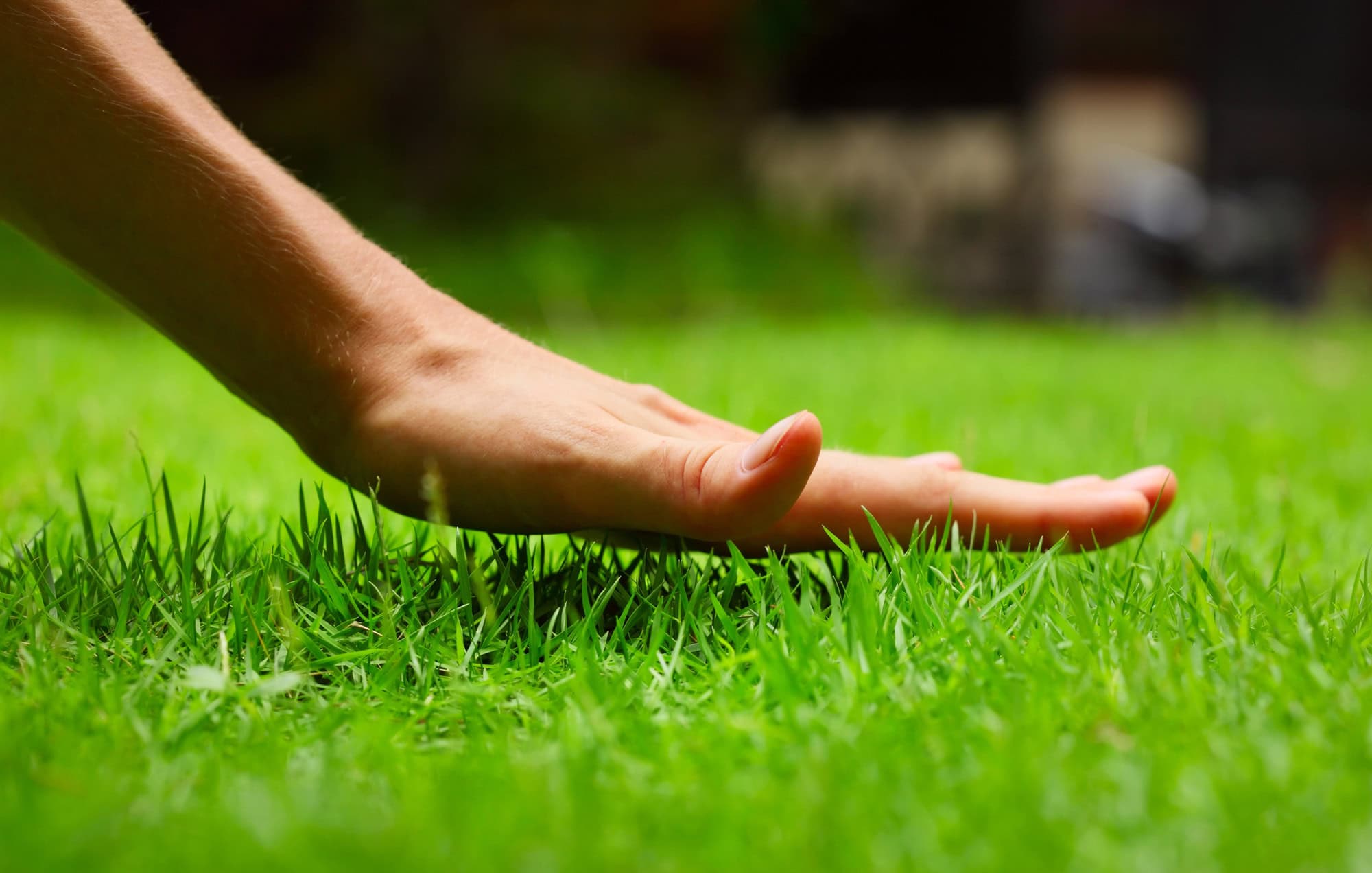 simple lawn watering tips