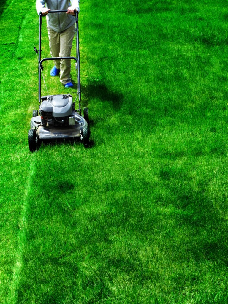 simple lawn watering tips