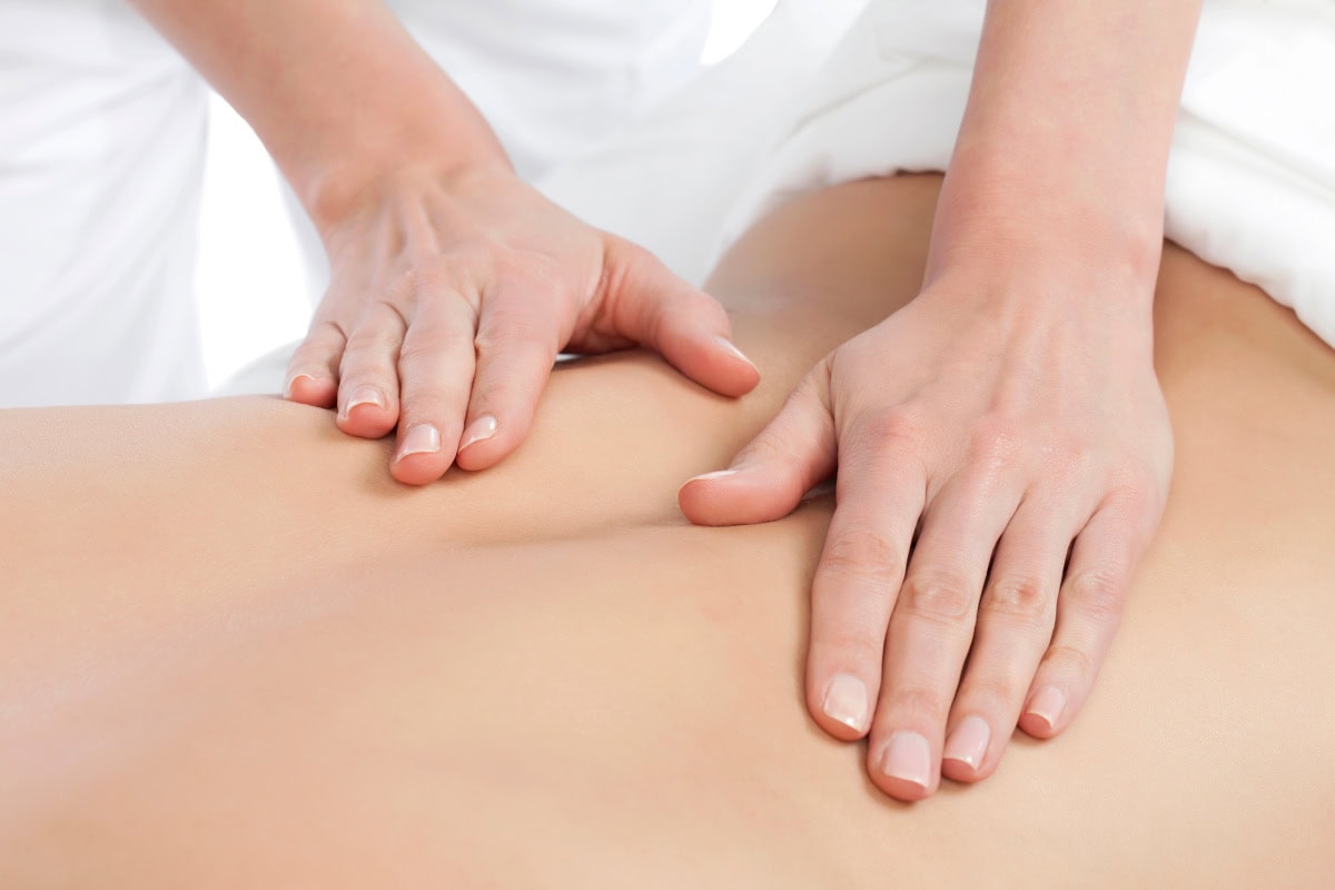 turn your passion for wellness into a career