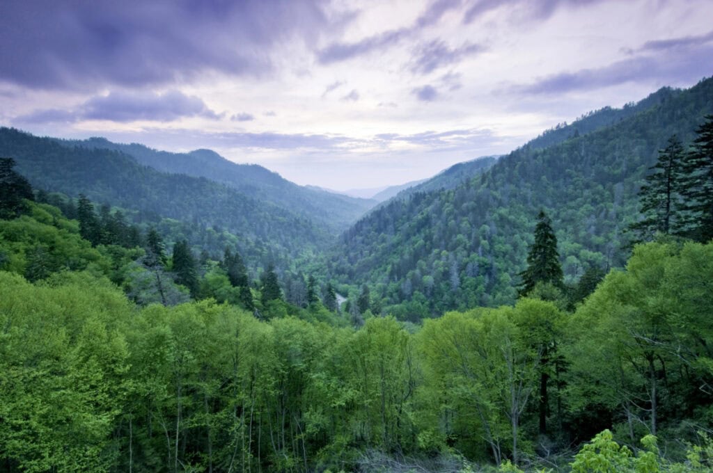 family activities in the Smokey mountains