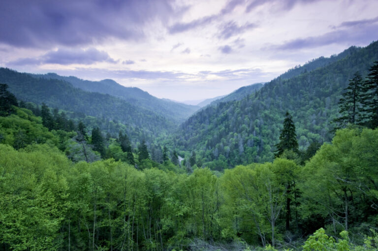 family activities in the Smokey mountains