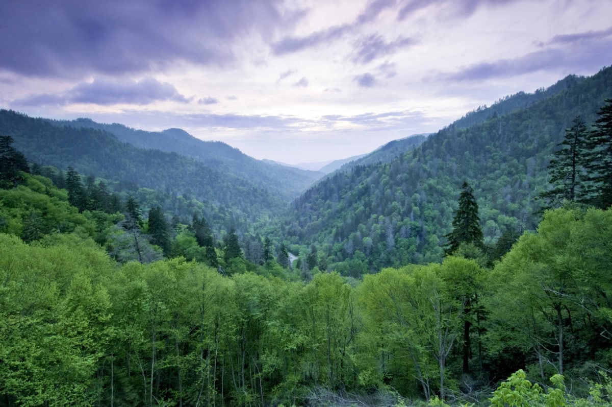 family activities in the Smokey mountains