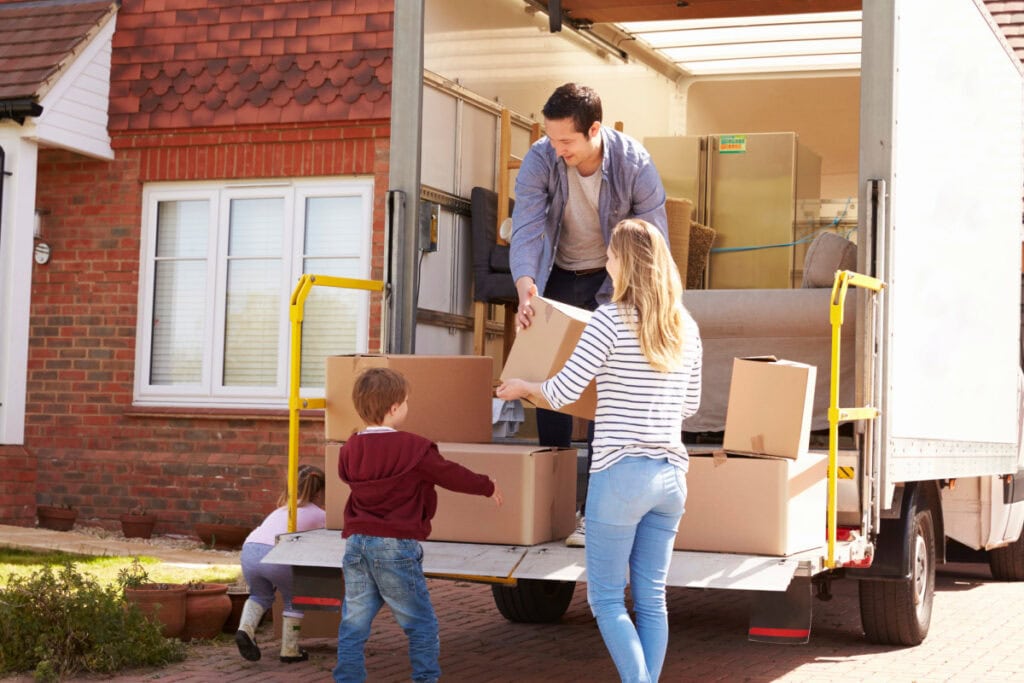 check for pests before you move