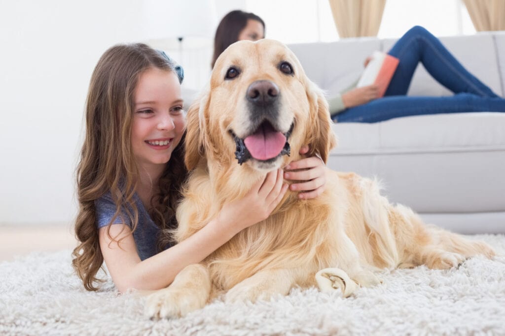 daily routine for your dog