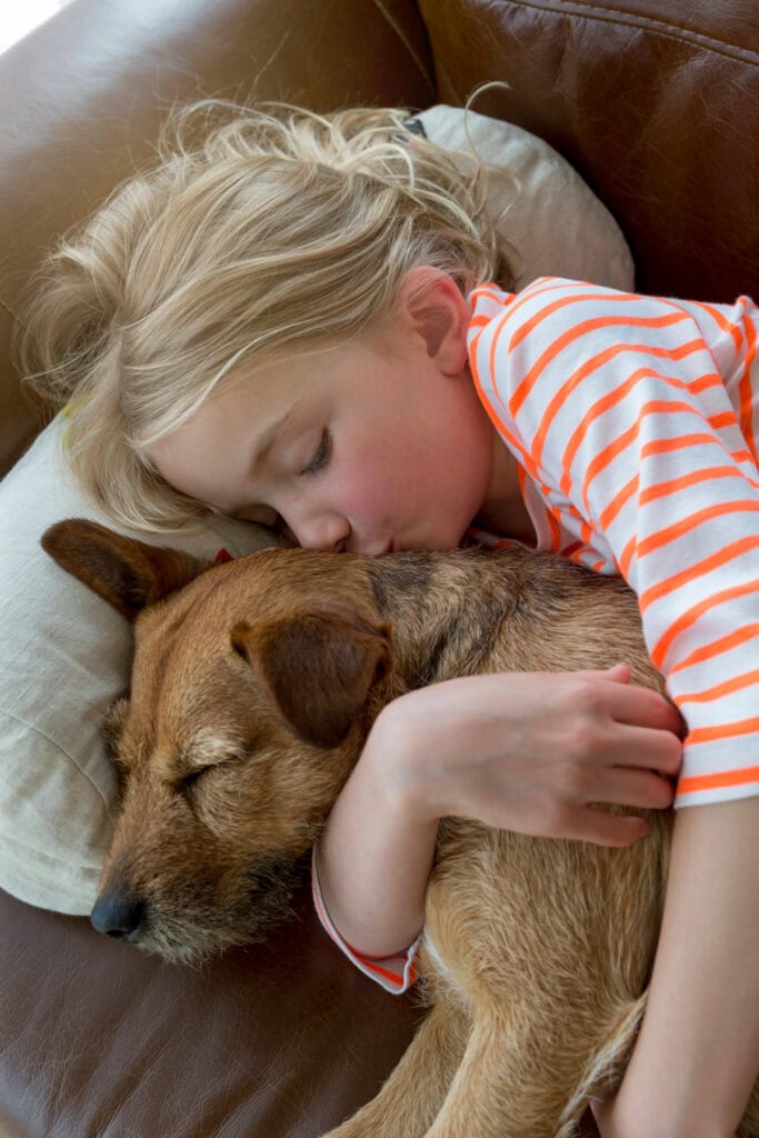 daily routine for your dog