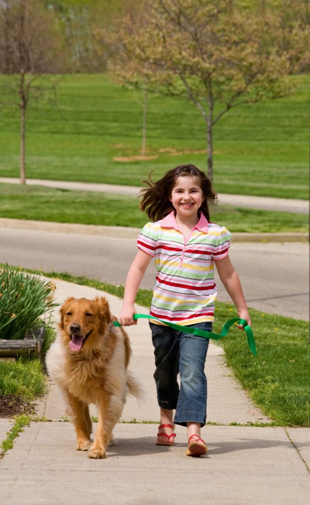 dogs happy