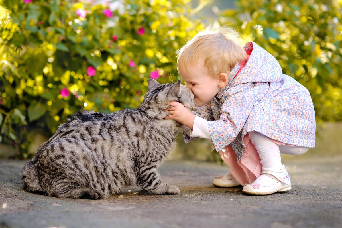 how to save money on pet care