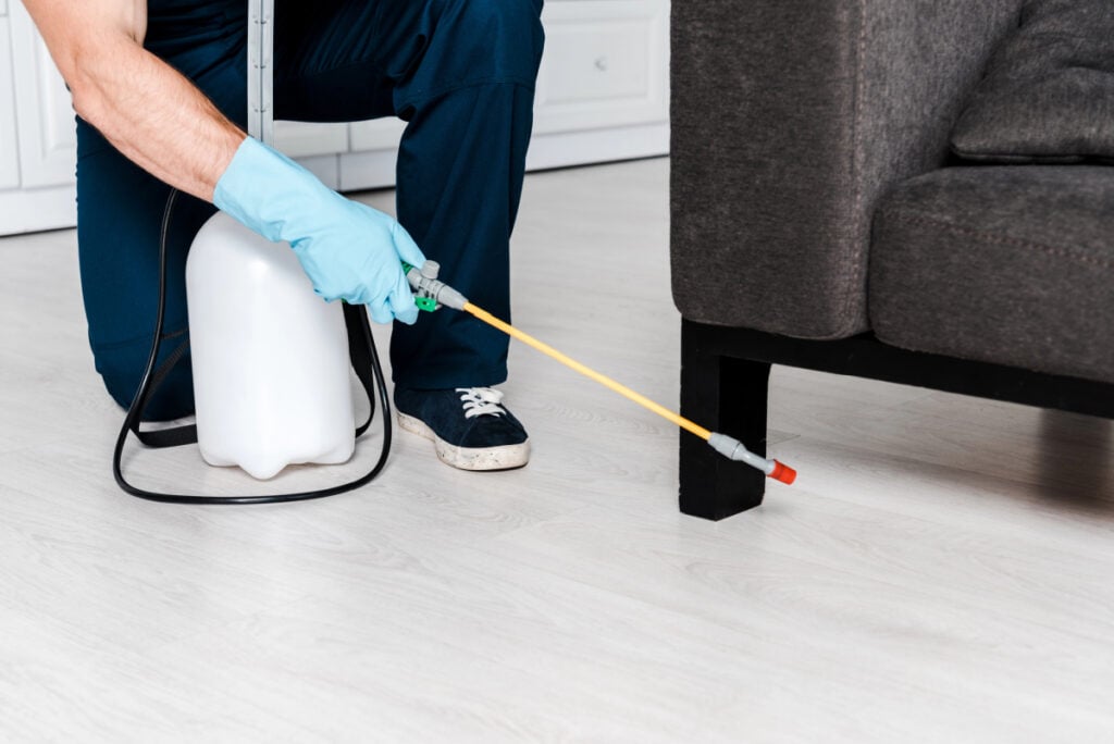 pest control mistakes
