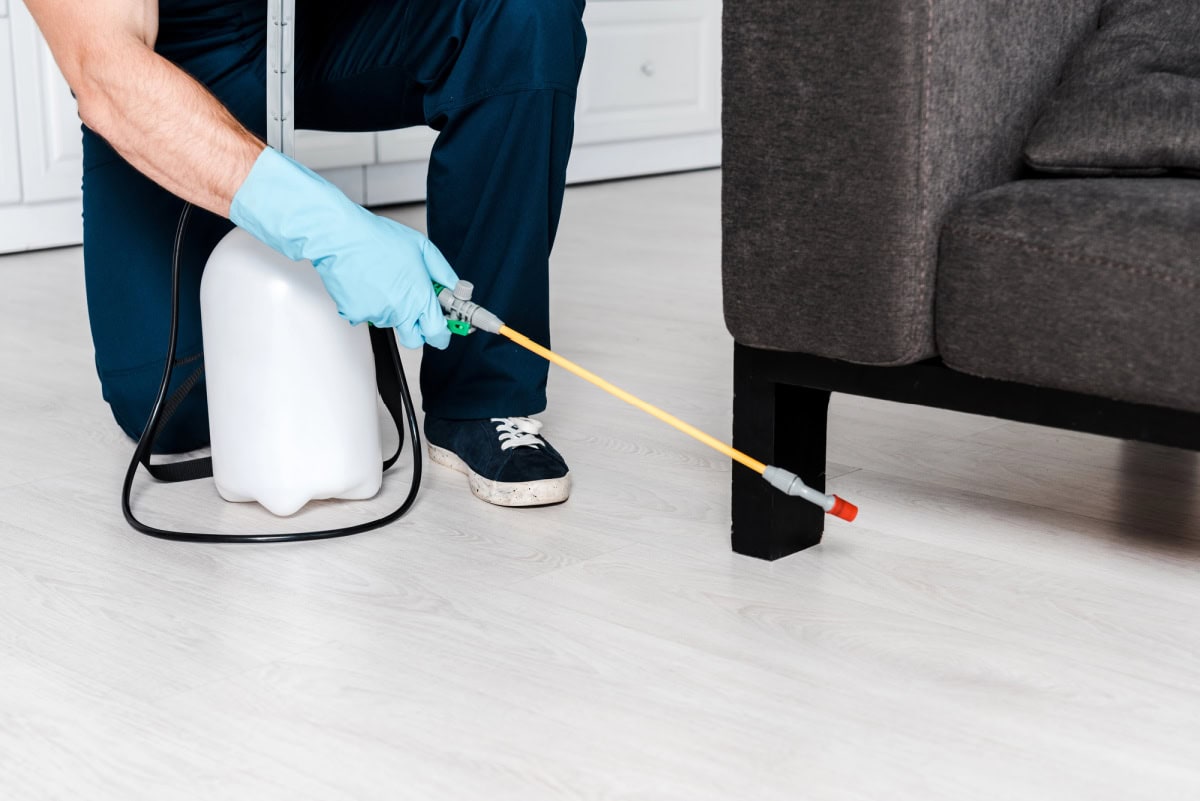 pest control mistakes