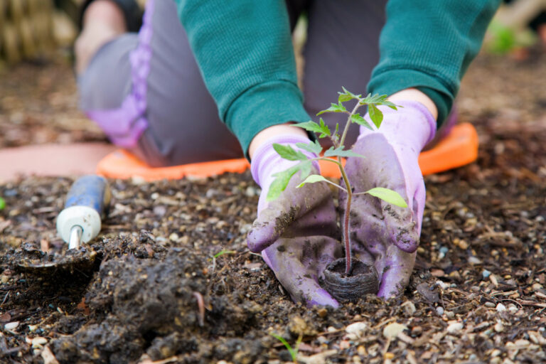 best gifts for gardeners