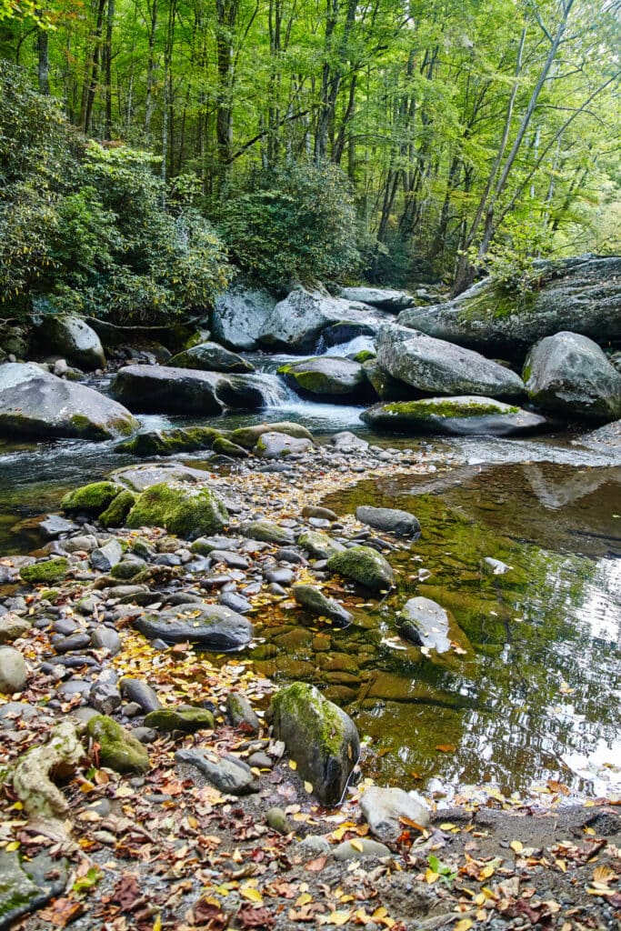 memorable Gatlinburg getaway