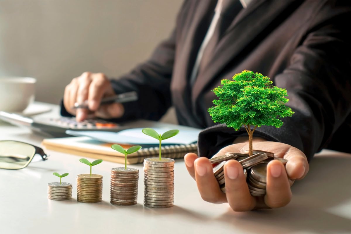 what you invest in