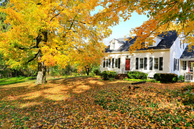 small home repairs